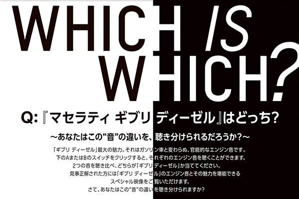 WHICHISWHICHキャンペーン