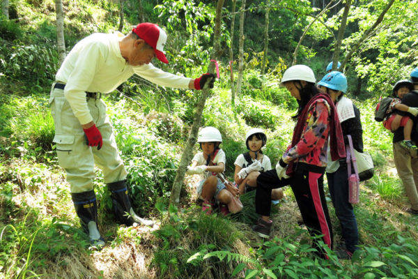 ブリヂストン 岐阜県の「エコピアの森 関」プロジェクトの活動を継続