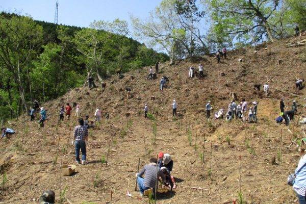 ブリヂストン 「エコピアの森 くまもと in 山鹿」植樹活動