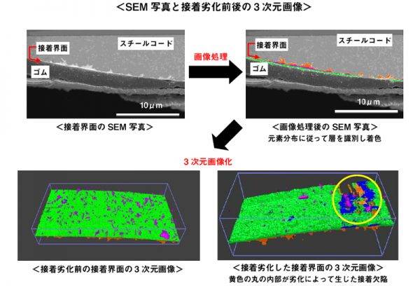 SEM写真と接着劣化前後の3次元画像