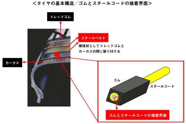 タイヤの基本構造・ゴムとスチールコードの接着界面