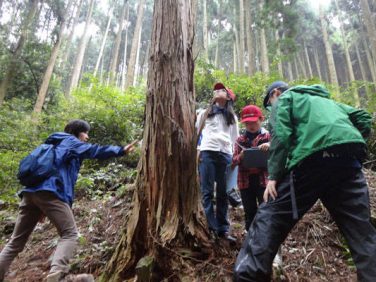 ブリヂストン 「エコピアの森 久留米」プロジェクトを2018年12月まで継続決定